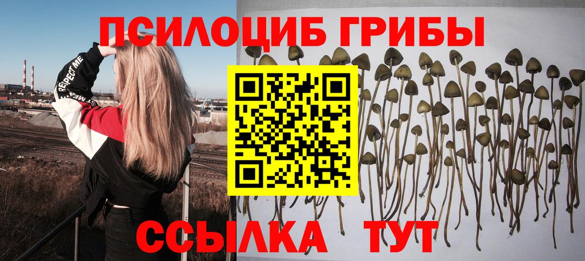 Галлюциногенные грибы MAGIC MUSHROOMS  Вход с VPN  Тавда  Псилоцибиновые грибы мухоморы 